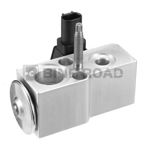 1678309501 Rear Air Conditioning Expansion Valve